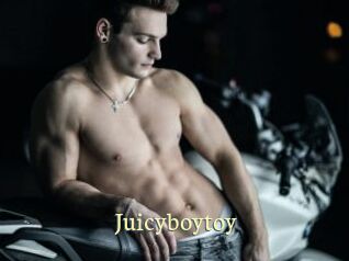 juicyboytoy Porn str8