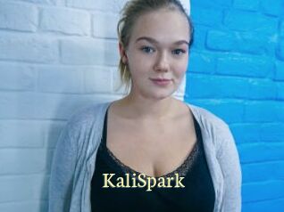KaliSpark