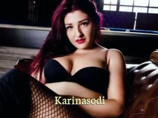 Karinasodi