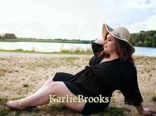 KarlieBrooks Porn str8