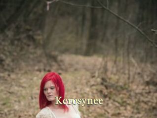 Kerosynee