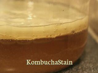 KombuchaStain