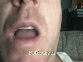 Ksbisexboi