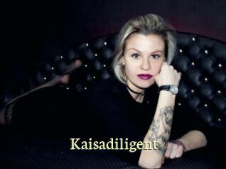 kaisadiligent Porn str8