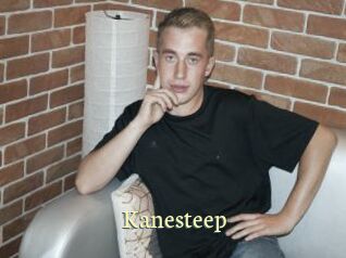 Kanesteep