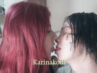 Karinakodi