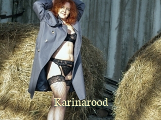 Karinarood