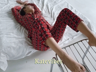 Katevibes