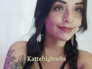 Kattebigboobs