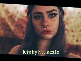 Kinkylittlecate