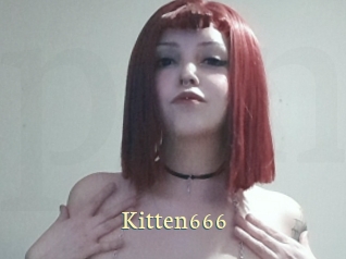 Kitten666