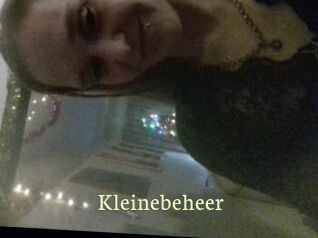 Kleinebeheer