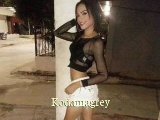 Kodamagrey
