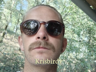 Krisbirdy