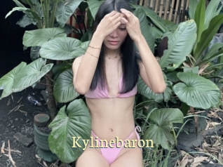 kylinebaron Porn str8