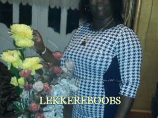 LEKKEREBOOBS Porn str8