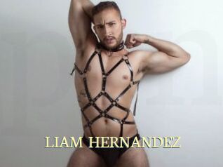 LIAM_HERNANDEZ Porn str8