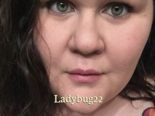Ladybug22
