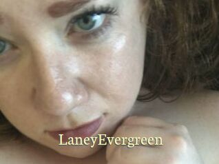 LaneyEvergreen