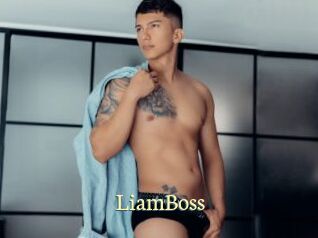 LiamBoss Porn str8