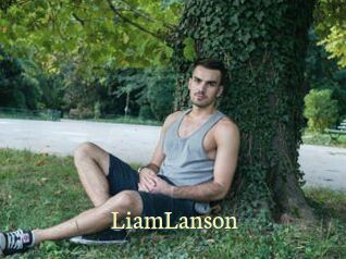 LiamLanson Porn str8