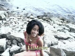 LilMouse Porn str8