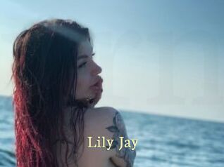 Lily_Jay