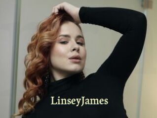 LinseyJames Porn str8