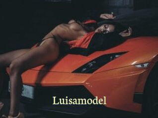Luisamodel
