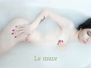 le_mure Porn str8