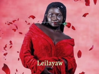 Leilayaw
