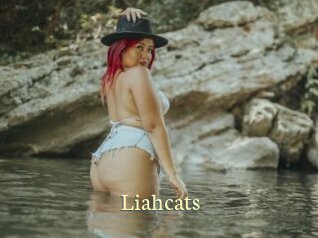 liahcats Porn str8