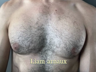 liam_arnaux Porn str8