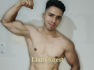 Liam_forest