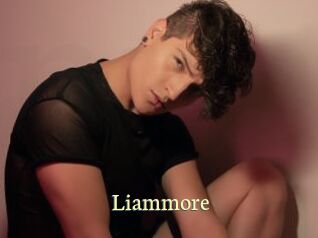 liammore Porn str8