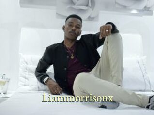 liammorrisonx Porn str8