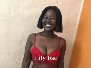 Lily_bae