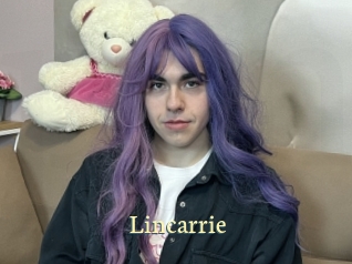 lincarrie Porn str8