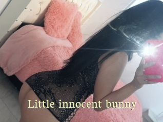 Little_innocent_bunny