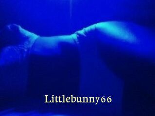 Littlebunny66