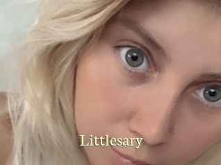littlesary Porn str8