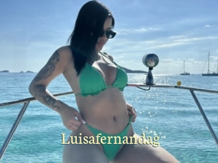 Luisafernandag