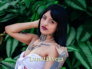 lunatikvega Porn str8