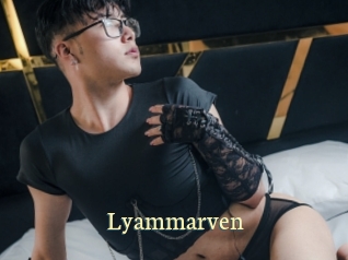 lyammarven Porn str8