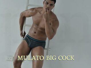 MULATO_BIG_COCK