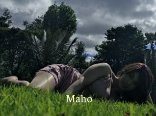 Maho