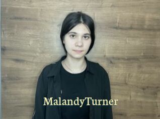 MalandyTurner Porn str8