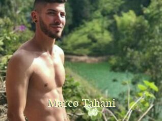 Marco_Tahani