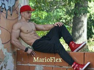MarioFlex