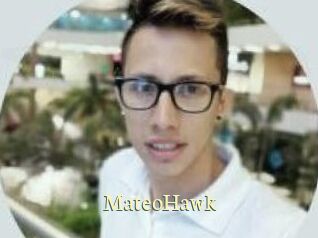 MateoHawk